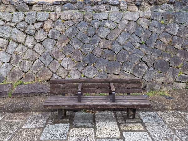 堀川 二条橋-夷川橋間の写真4