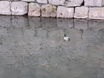 니조조마에역 니조조 히가시오테몬 앞 보도의 휴식 장소 3