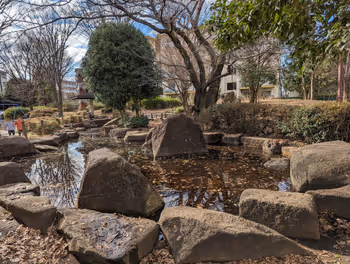 ひばりヶ丘駅谷戸イチョウ公園の休憩場所その8