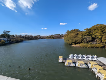 Rest area at the Senzoku-ike Boat House near Senzoku-ike Station, Part 9