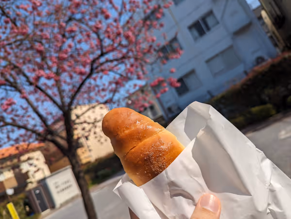 Photo of Nishi-Koyama Station | Nishi-Koyama Park | Rest Spot 5