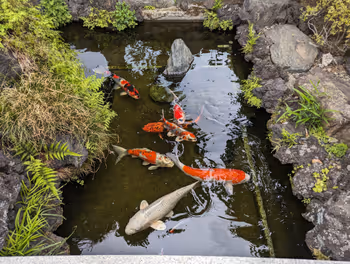 沼袋車站禪定院的休憩場所7