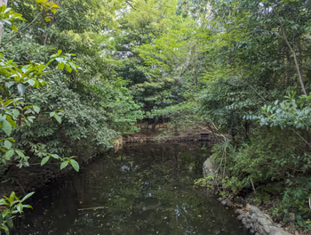 茗荷谷駅占春園の休憩場所その5