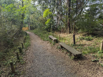 茗荷谷駅占春園の休憩場所その4