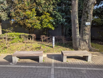 千石駅文京グリーンコート スポーツ施設棟付近の休憩場所その5