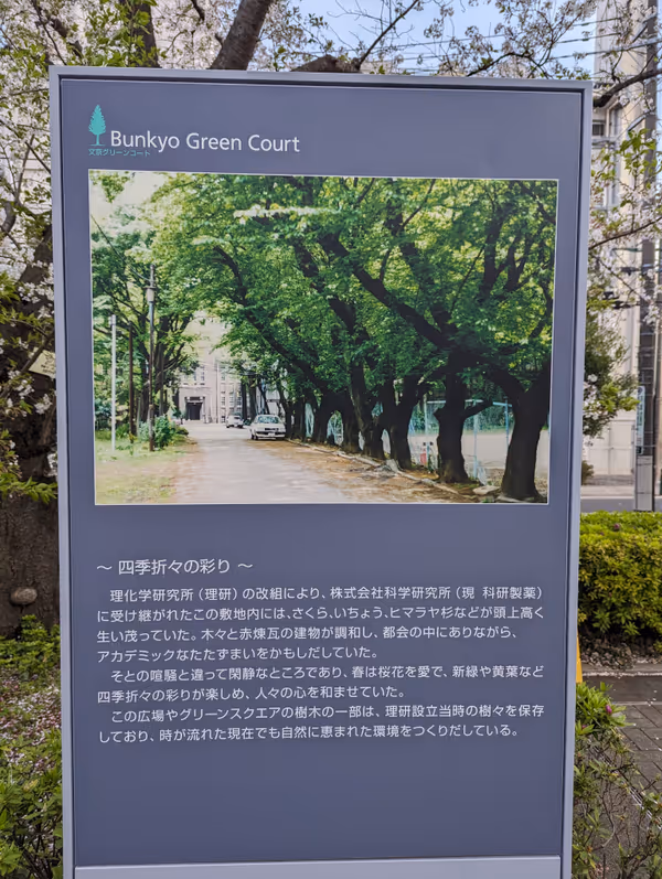 Foto von 文京グリーンコート 広場 3