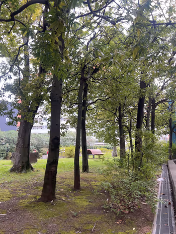 Photo of Minamizutamachi Station | Sendai Horikawa Park, South Side | Rest Spot 2