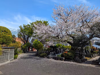 本駒込駅蓮光寺の休憩場所その4