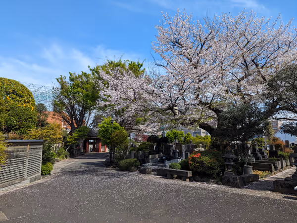 Foto von 蓮光寺 4