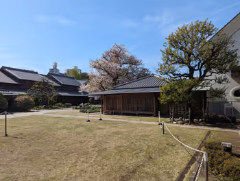 本駒込駅光源寺の休憩場所その2