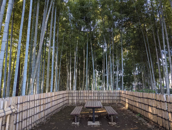 Photo de 竹林公園 3