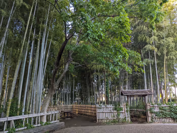 東久留米站竹林公園的休憩場所其2