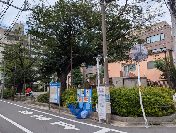 高田第三公園の写真1