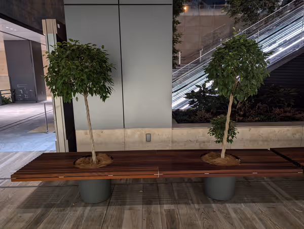 NORTH STEPの写真4