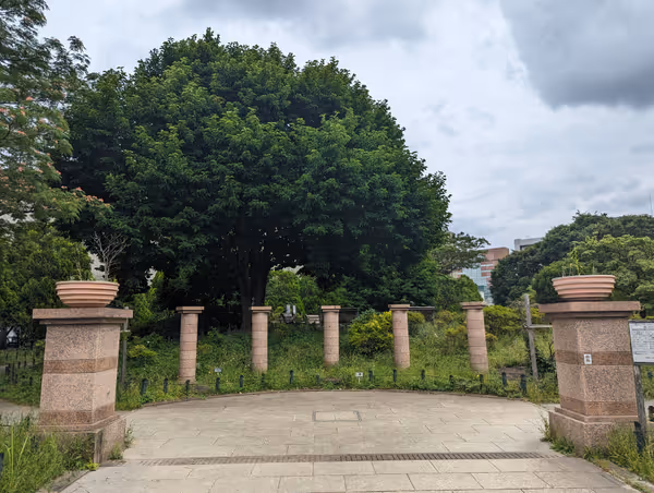 平成つつじ公園の写真2