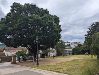 練馬駅平成つつじ公園の休憩場所その1
