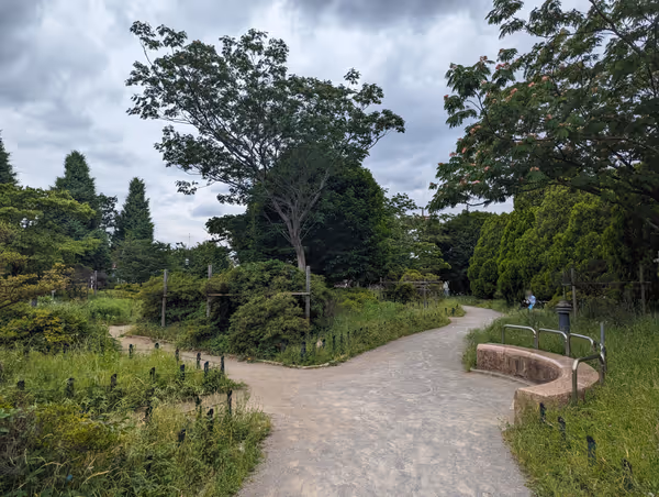 平成つつじ公園の写真5