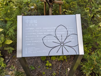 澀谷站培育舞台的休息場所,其八