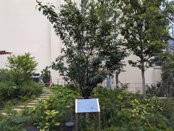 澀谷站培育舞台的休息場所,其七