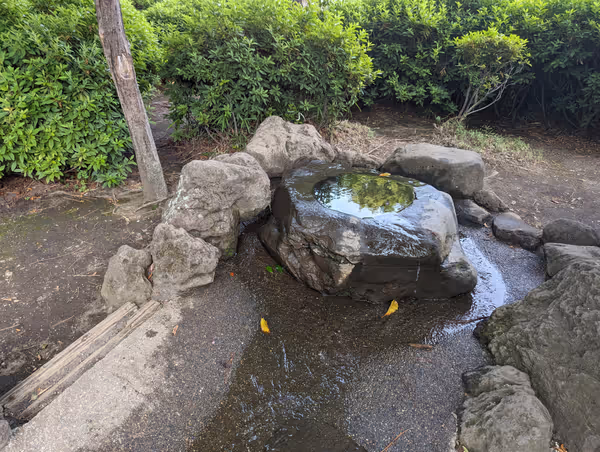 Foto di 世田谷新町公園 6