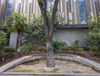 다카나와 게이트웨이역 시바우라 초등학교 근처 옛 해안가 길가의 휴식 공간 3