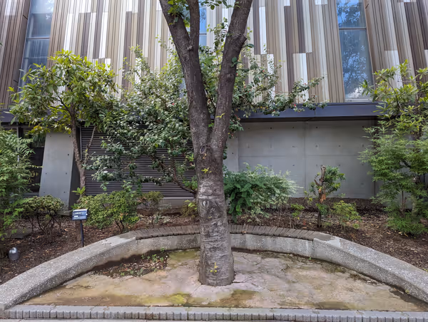 Photo of Takanawa Gateway Station | Shibaura Elementary School Near the old coastal road | Rest Spot 3