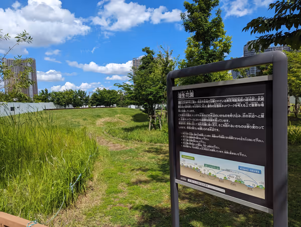 芝浦中央公園 湿生花園の写真1