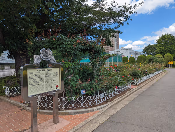 芝浦中央公園 バラ園・芝生広場の写真2