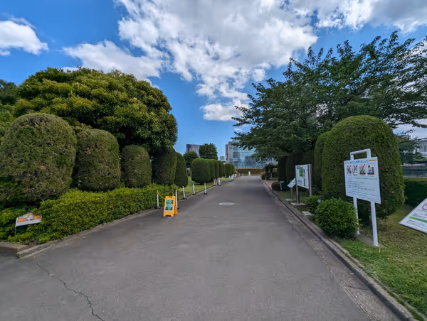 芝浦中央公園 バラ園・芝生広場の写真1