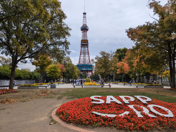 大通公園の写真1