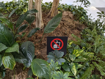 さっぽろ駅大丸札幌 グリーンパティオの休憩場所その4