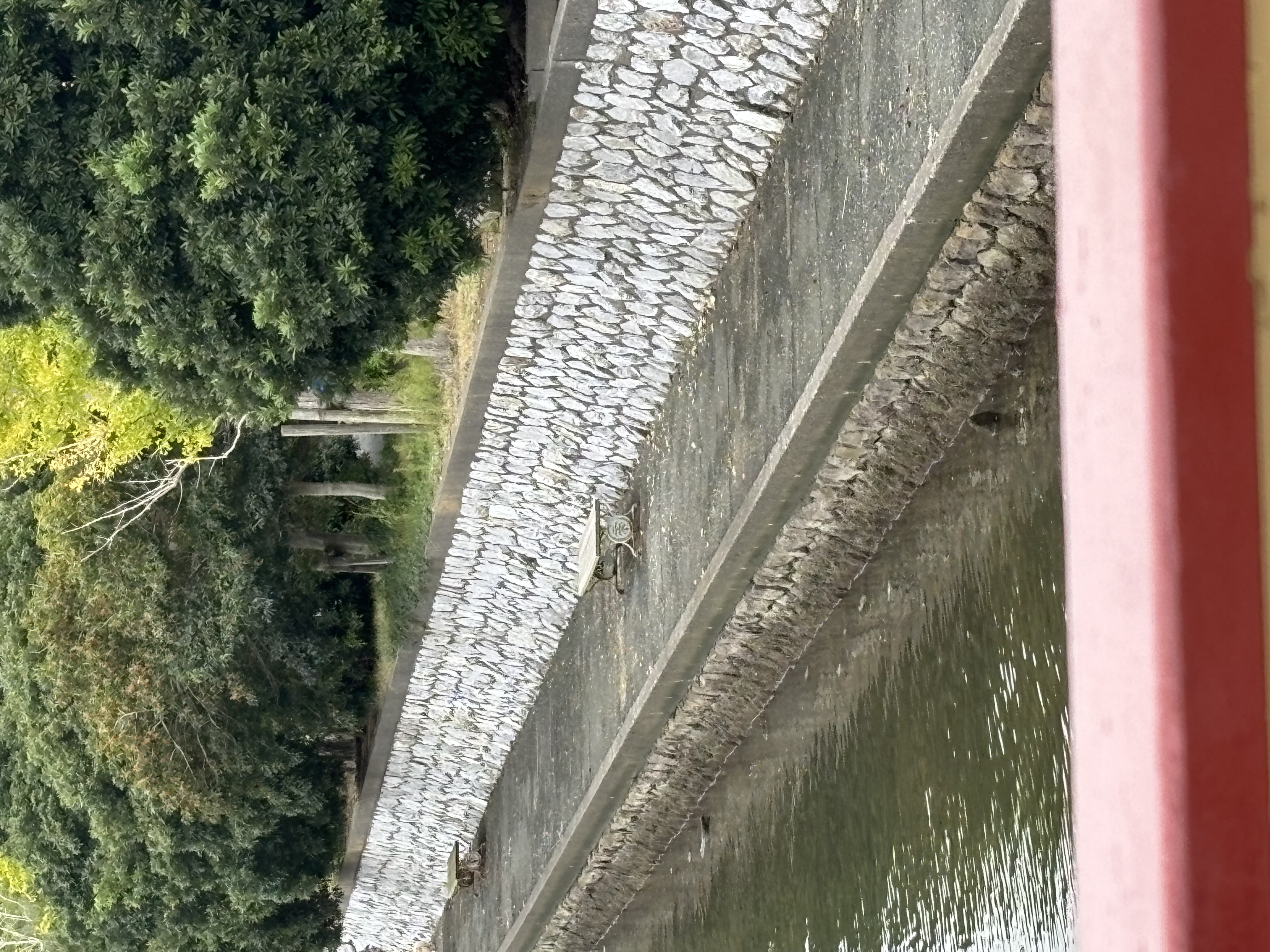 [寸座站] 濱名湖遊覽船花卉公園港旁 休息處 的照片 1
