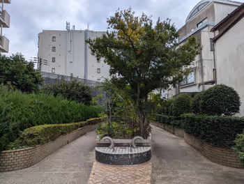 中野坂上駅桃園川緑道 睦橋跡付近の休憩場所その2