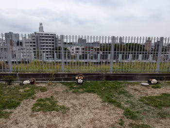 中目黑站目黑十五庭(屋顶庭园)的休息场所其8