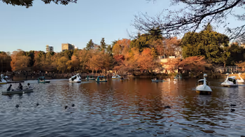 吉祥寺站井之头公园的休息场所6