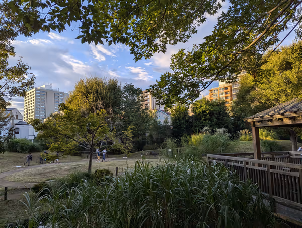 Foto von 杉並中央図書館 本の広場 3