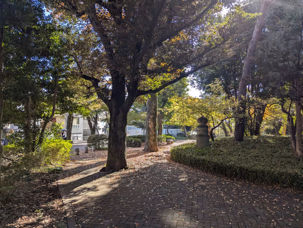 Foto de 駒沢一丁目公園 3