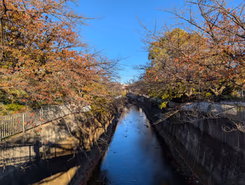 練馬高野台站石神井川 藥師堂橋−長光寺橋之間的休憩場所 其6