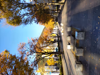 Photo of Tottori Station | Tottori Ginko Bunka Kaikan-mae Bus Stop Near | Rest Spot 3