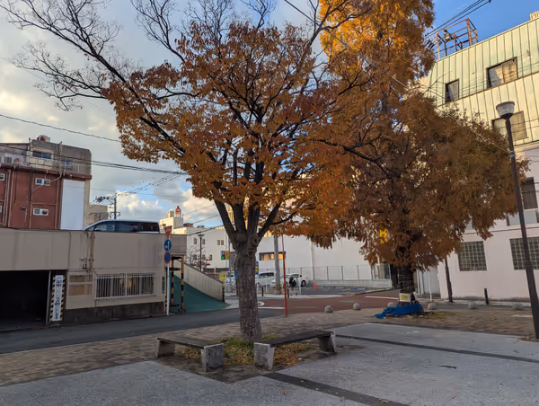 黒崎中央公園の写真4