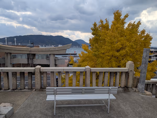 亀山八幡宮の写真2
