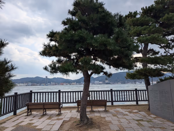 阿弥陀寺公園の写真3