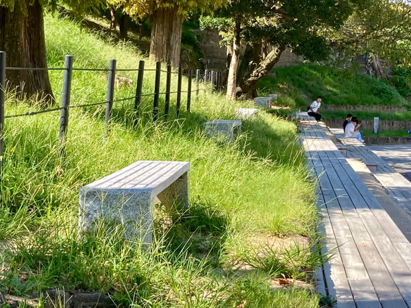 岡崎公園多目的広場の写真5