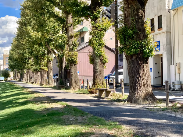 Photo of Okazaki Koen-mae Station | Walking Path Near Okazaki Park Multi-Purpose Plaza | Rest Spot 1