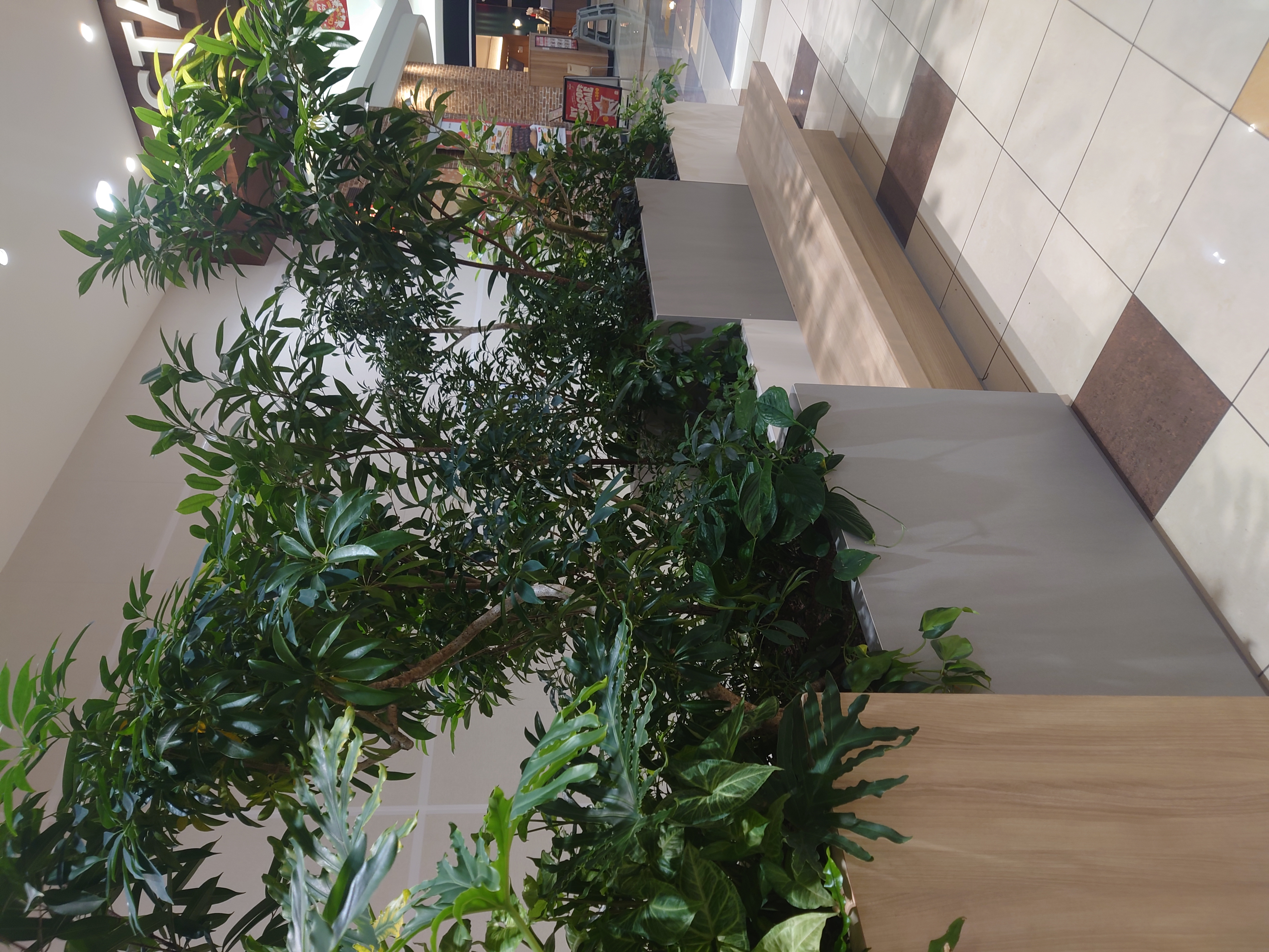 Photo of Jimobara Station | Aeon Town Kamisato 1F, in front of the hair salon, bench | Rest Spot 1