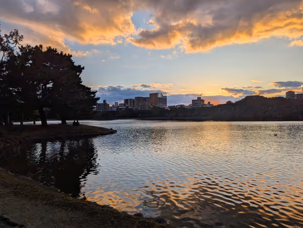 Photo de 大濠公園 中ノ島 6