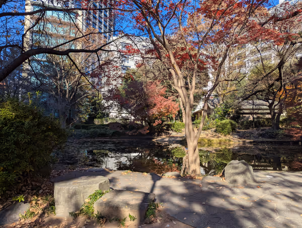 清水谷公園の写真6