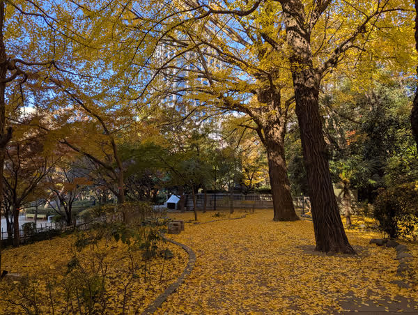 清水谷公園の写真3
