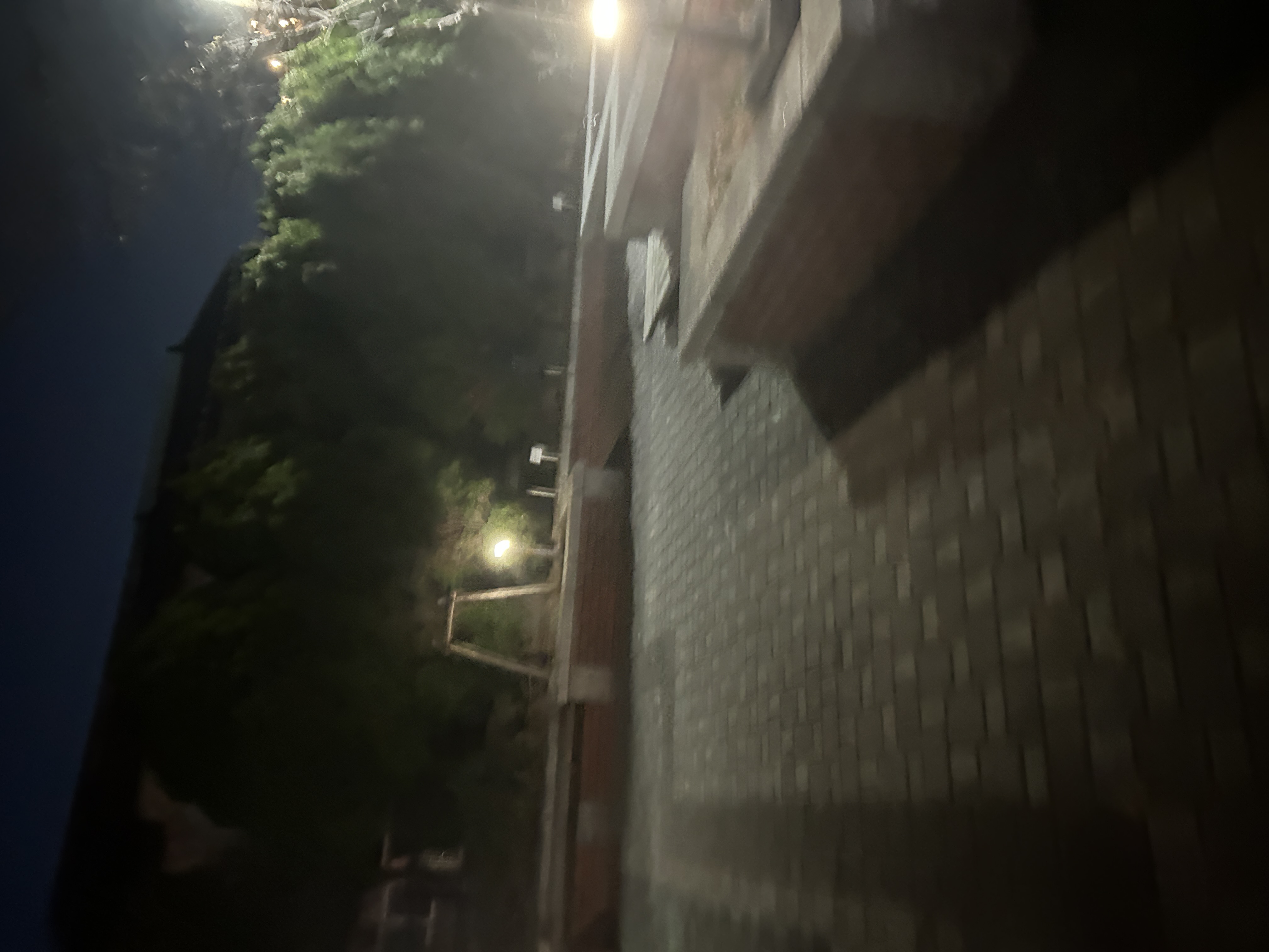 交差点脇の緑地の写真1