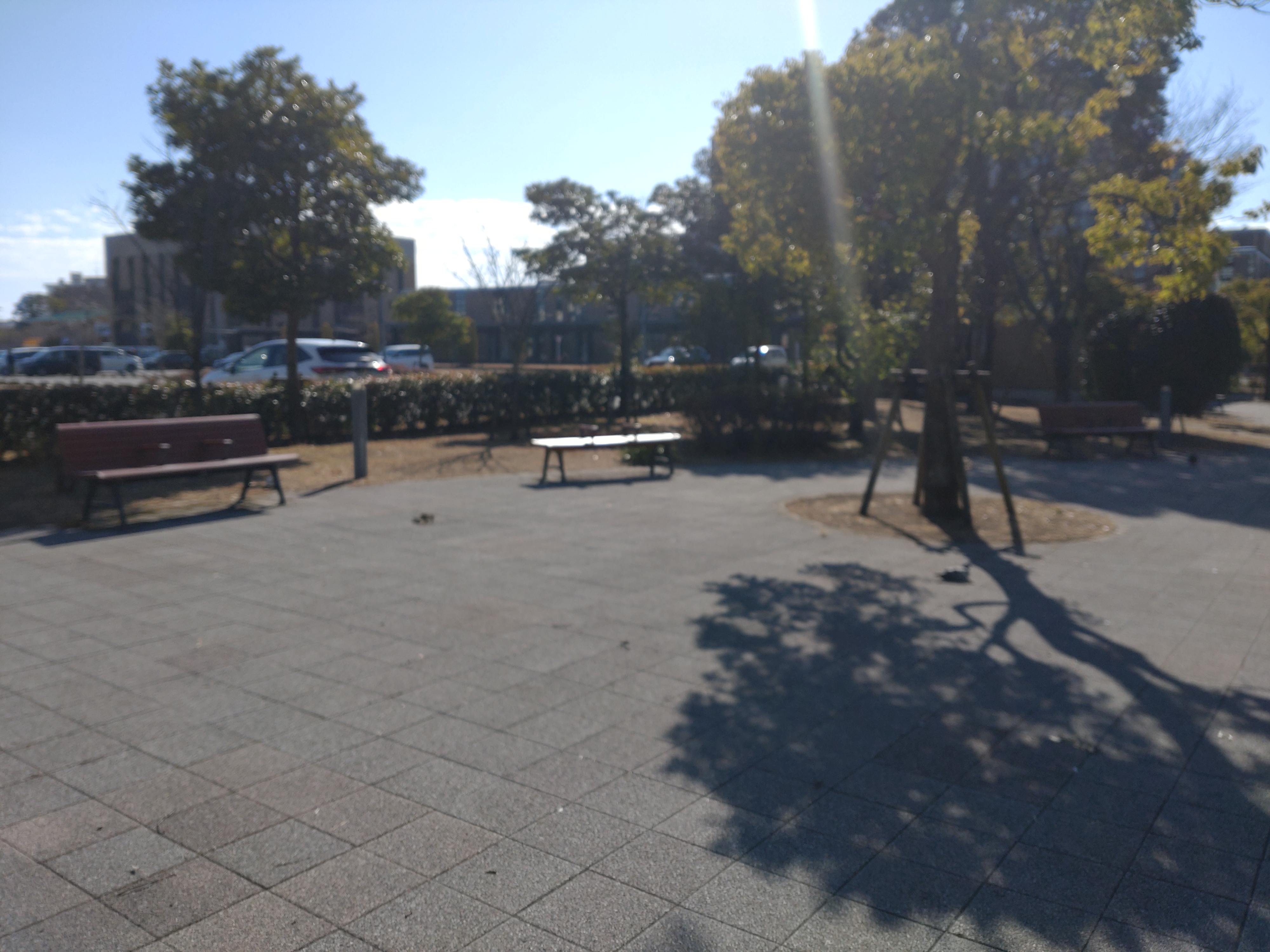 鹿児島市立病院駐輪場前の写真1